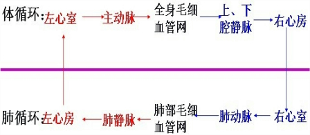 360优课网