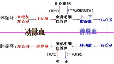 360优课网