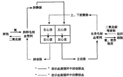 360优课网