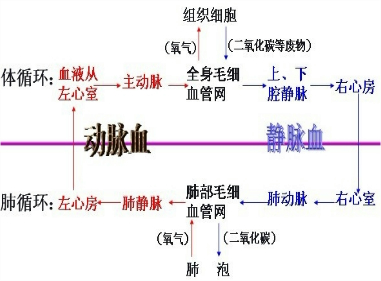 360优课网