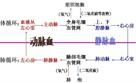 360优课网