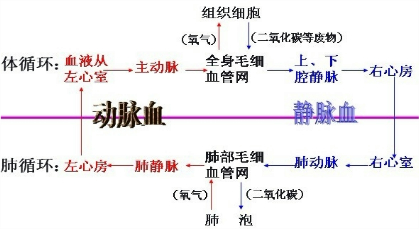 360优课网