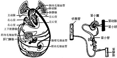 360优课网
