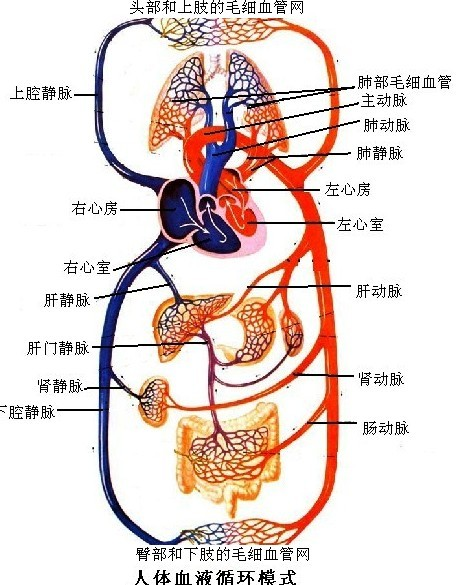 360优课网