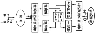 360优课网