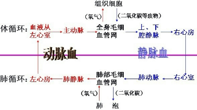 360优课网