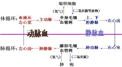 360优课网