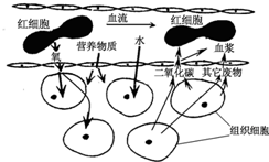 360优课网