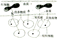 360优课网