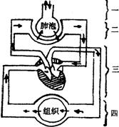 360优课网