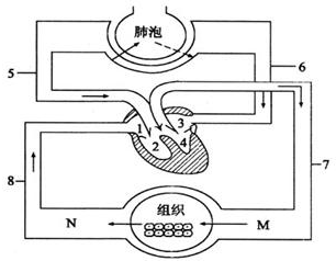 360优课网