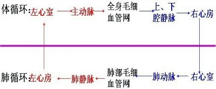 360优课网
