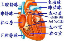 360优课网