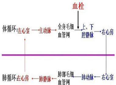 360优课网