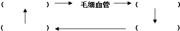 360优课网