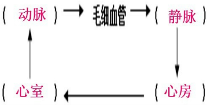 360优课网