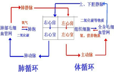 360优课网