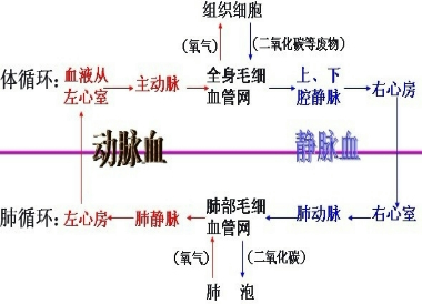 360优课网