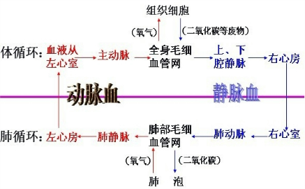 360优课网