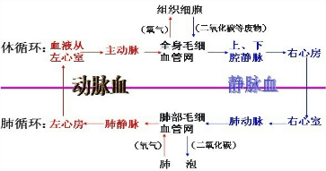 360优课网