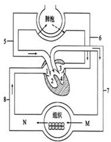360优课网