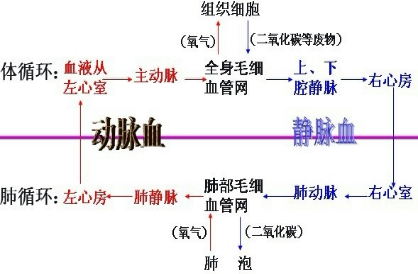 360优课网