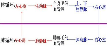 360优课网