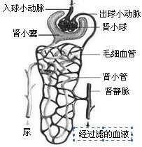 360优课网