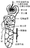 360优课网