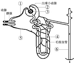 360优课网