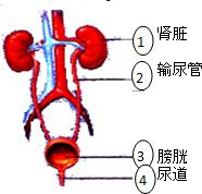 360优课网