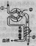 360优课网