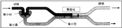 360优课网