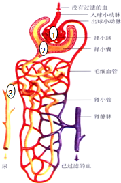 360优课网