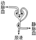 360优课网