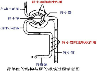 360优课网