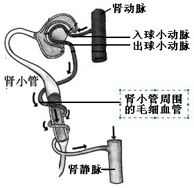 360优课网