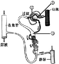 360优课网