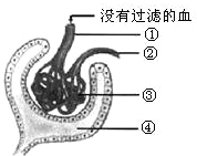 360优课网