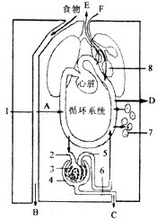 360优课网