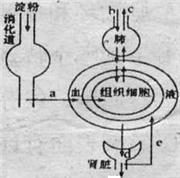 360优课网