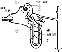 360优课网
