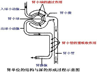 360优课网