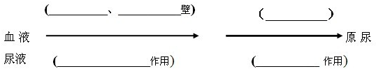 360优课网
