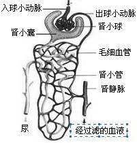 360优课网