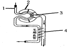 360优课网
