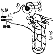 360优课网