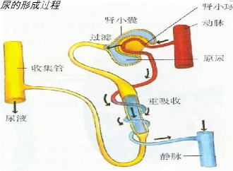 360优课网