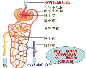 360优课网