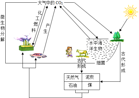 360优课网